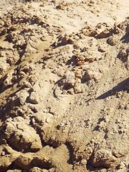 https://shop2.three-z.com/storage/photos/1/Products/Soil/Fill Dirt/Picture7.jpg
